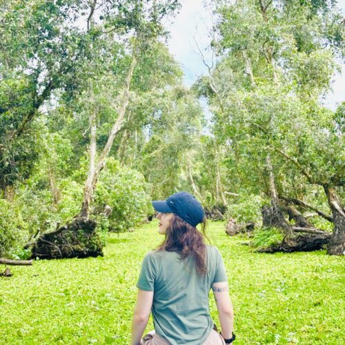 THE LAST WILD MEKONG